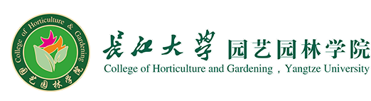 永利yl23411官网
